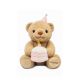 GODIVA Birthday Plush Teddy Bear
